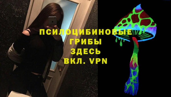 шишки Липки