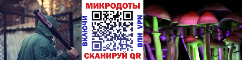 Псилоцибиновые грибы Magic Shrooms  где продают   Новотроицк 