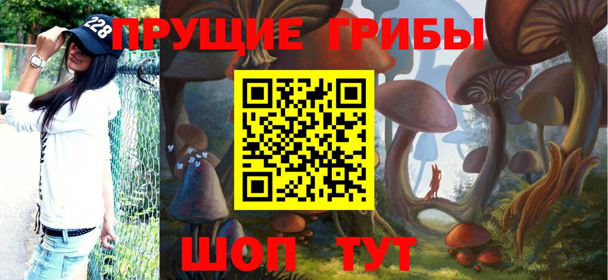 Псилоцибиновые грибы ЛСД  Галлюциногенные грибы MAGIC MUSHROOMS  Новотроицк  Вход с VPN 