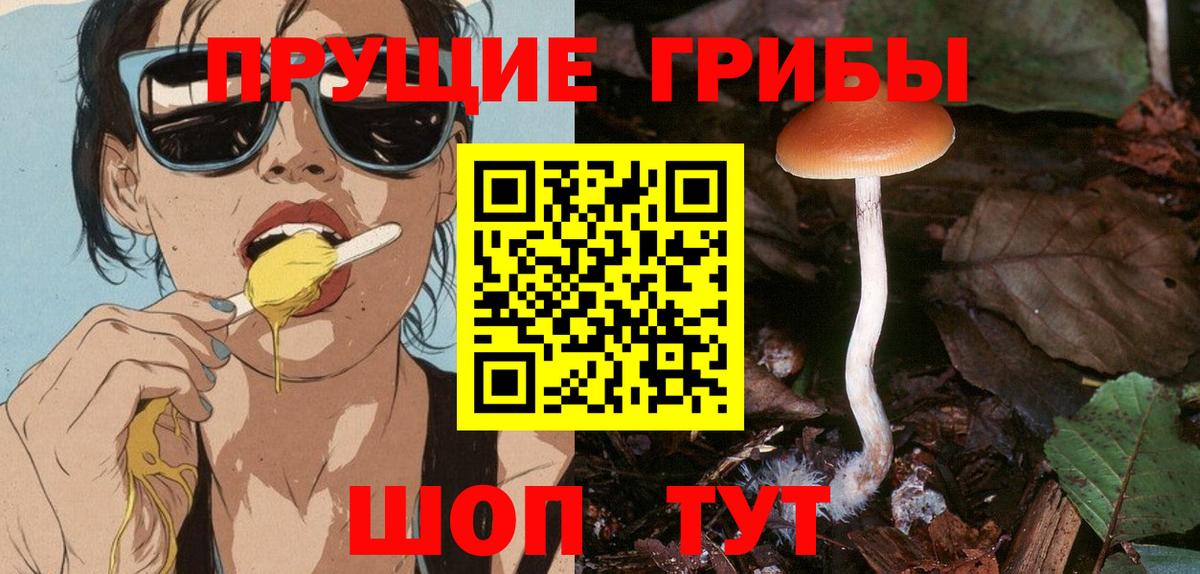 Галлюциногенные грибы Cubensis Новотроицк