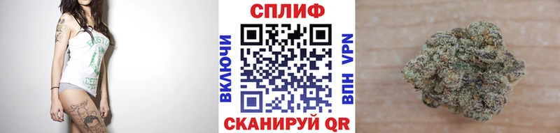 как найти закладки  Новотроицк  Каннабис AK-47 